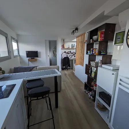 Apartment Magnifique Rooftop Centre Toulouse